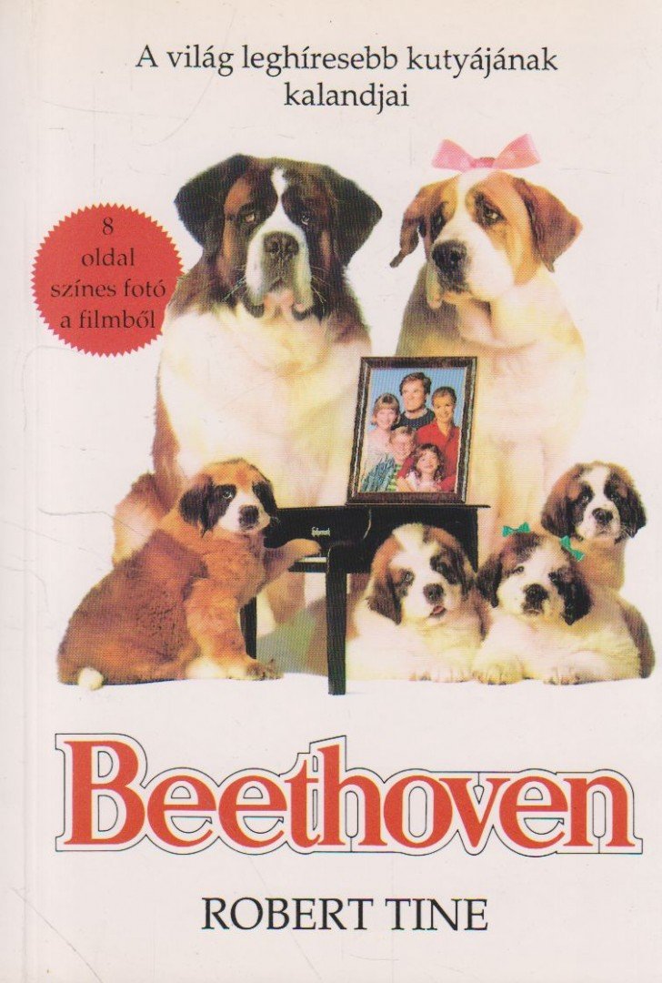 TINE, ROBERT - Beethoven [antikvár]