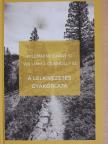 Lukács János SJ - A lelkivezetés gyakorlata [antikvár]