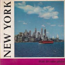 Erica Anderson - New York [antikvár]