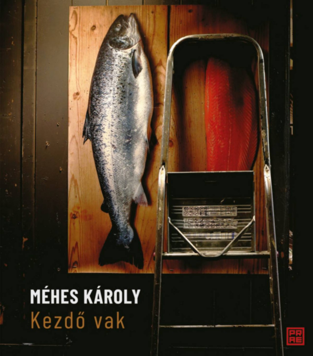 MÉHES KÁROLY - Kezdő vak