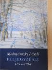 Mednyánszky László - Mednyánszky László feljegyzései [antikvár]