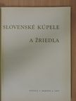 Vojtech Török - Slovenské kúpele a ¾riedla [antikvár]