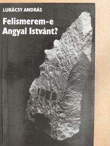 Lukácsy András - Felismerem-e Angyal Istvánt? (dedikált példány) [antikvár]
