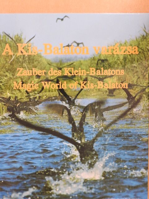 Nagygyörgy András - A Kis-Balaton varázsa [antikvár]