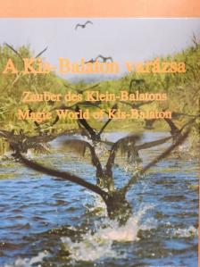 Nagygyörgy András - A Kis-Balaton varázsa [antikvár]