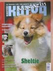 Dr. Pongrácz Pál - Nemzetközi Kutya Magazin 2008. augusztus [antikvár]