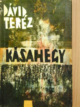 Dávid Teréz - Kásahegy [antikvár]