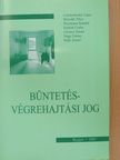 Dr. Csernyánszky Lajos - Büntetés-végrehajtási jog [antikvár]