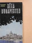 Tihanyi János - Séta Budapesten [antikvár]