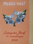 Leányvári József - Meddig még? [antikvár]