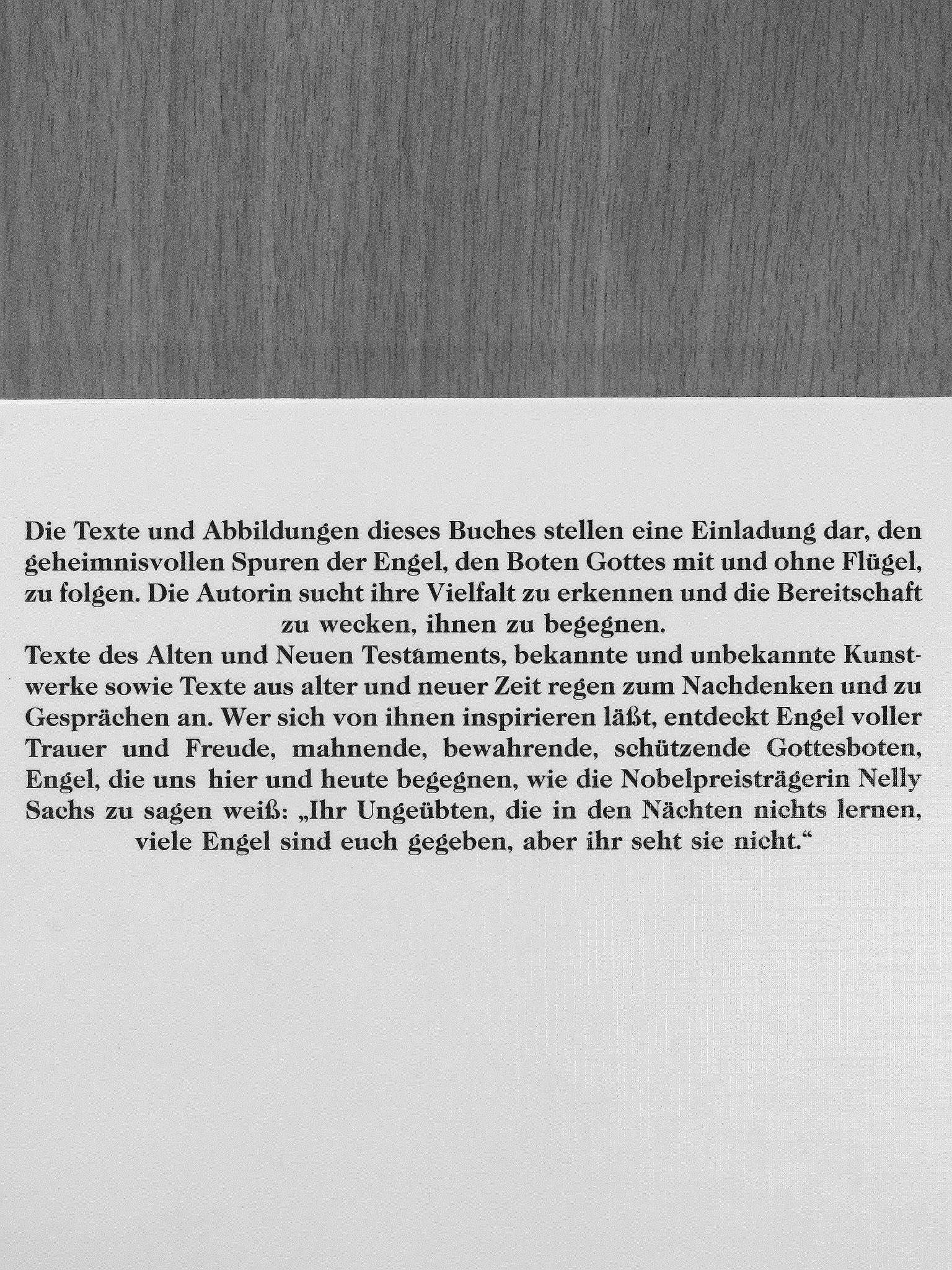 Gisela Zimmermann - Dem Geheimnis der Engel auf der Spur [antikvár]
