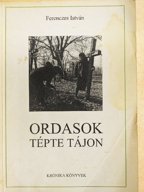 Ferenczes István - Ordasok tépte tájon [antikvár]