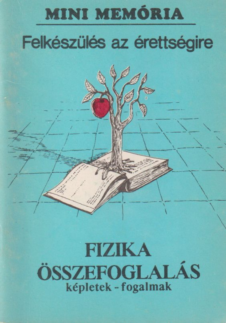 Vargha Magdolna - Felkészülés az érettségire - Fizika összefoglalás [antikvár]