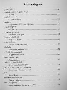 Wolfgang Zumdick - Rudolf Steiner Bécsben [antikvár]