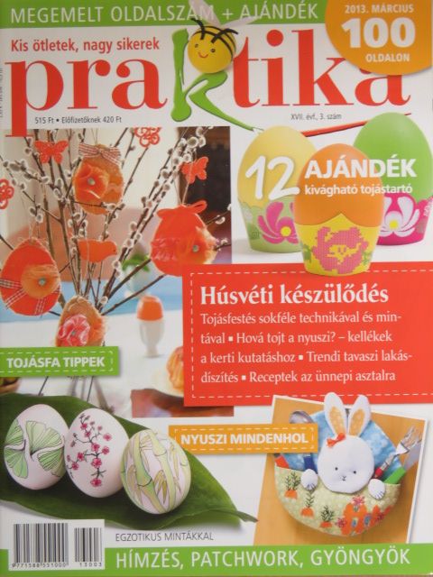 Praktika 2013. március [antikvár]