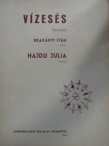 Bradányi Iván - Vízesés [antikvár]