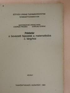Bagyinszkiné Orosz Anna - Példatár a bevezető fejezetek a matematikába c. tárgyhoz [antikvár]