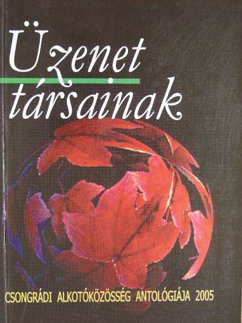 B. Palocsay Erzsébet - Üzenet társainak [antikvár]