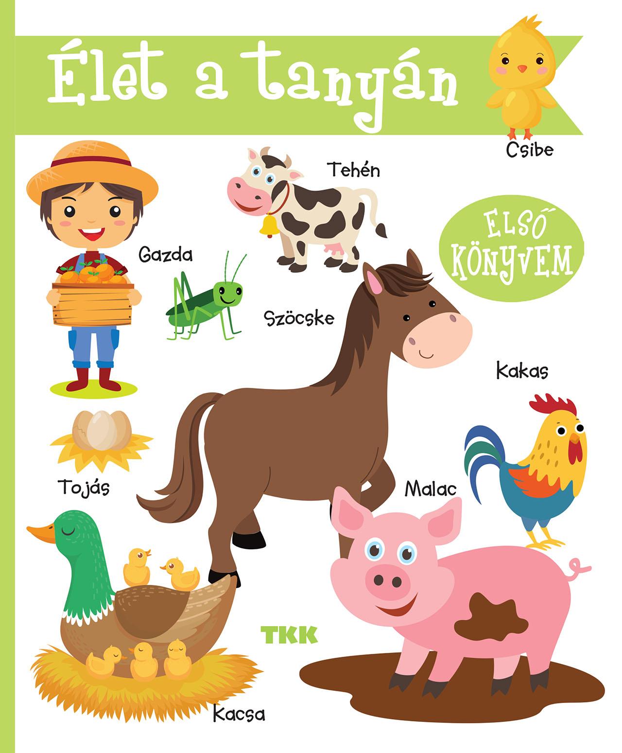 tkk team - Élet a tanyán