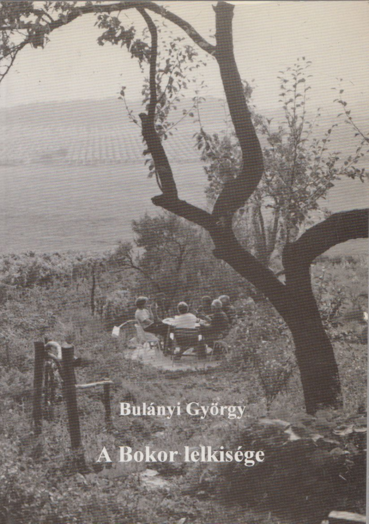 Bulányi György - A Bokor lelkisége [antikvár]