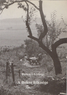 Bulányi György - A Bokor lelkisége [antikvár]