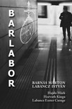 Barnás Márton-Labancz István-Labancz Eszter Csenge-Hajdú Márk-Horváth Kinga - BARLABOR