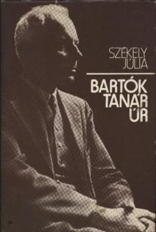SZÉKELY JÚLIA - Bartók tanár úr [antikvár]