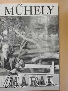 Műhely 2000/2-3. [antikvár]