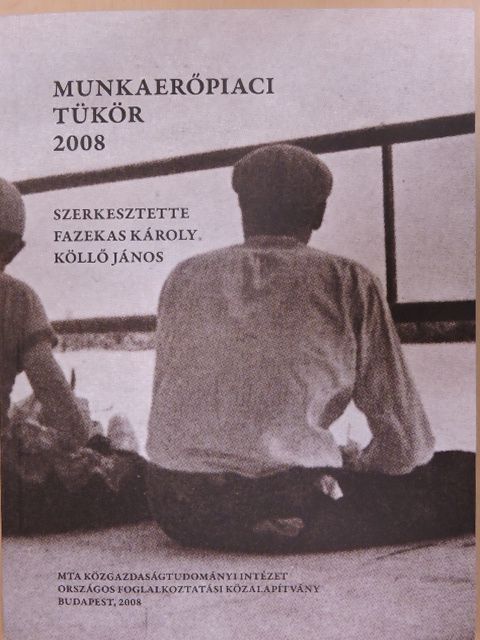 Bajnai Blanka - Munkaerőpiaci tükör 2008 [antikvár]