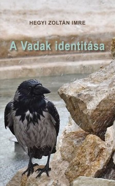 Hegyi Zoltán Imre - A Vadak identitása