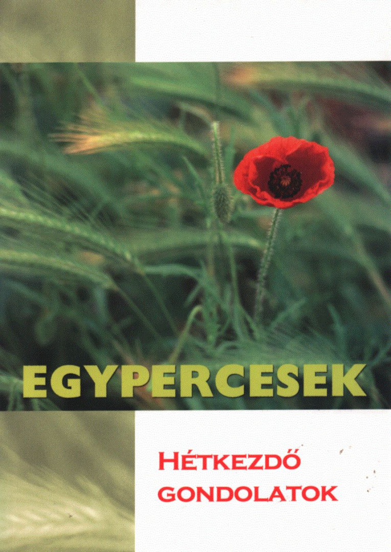 Margit István - Egypercesek [antikvár]