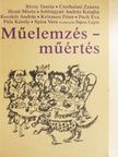 Bécsy Tamás - Műelemzés - műértés [antikvár]