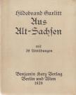 Hildebrand Gurlitt - Aus Alt-Sachsen [antikvár]