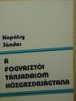 Kopátsy Sándor - A fogyasztói társadalom közgazdaságtana [antikvár]