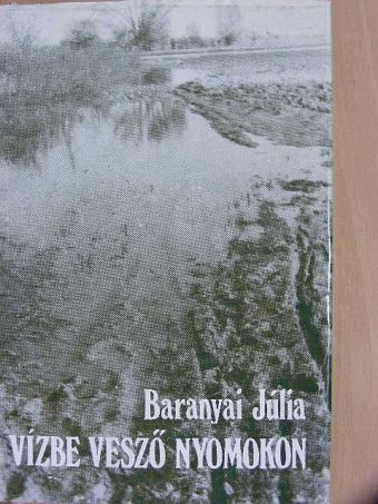 Baranyai Júlia - Vízbe vesző nyomokon [antikvár]