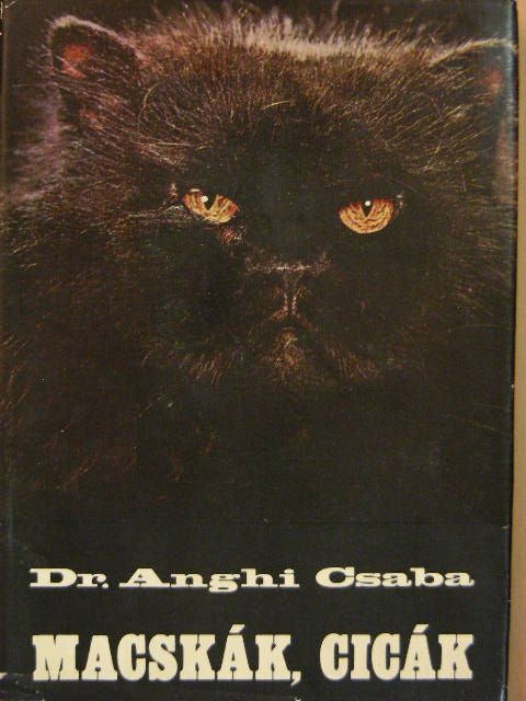 Dr. Anghi Csaba - Macskák, cicák [antikvár]