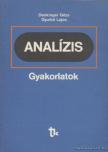 DENKINGER GÉZA, GYURKÓ LAJOS - Analízis gyakorlatok [antikvár]