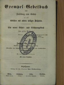Johann Ev. Schmid - Exempel-Gebetbuch oder Anleitung zum Gebete nach biblischen und anderen heiligen Beispielen (Gótbetűs) [antikvár]