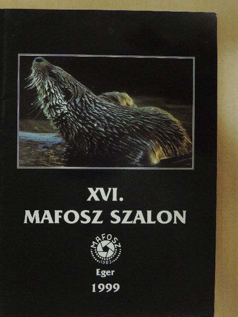 Győri Lajos - XVI. MAFOSZ Szalon [antikvár]