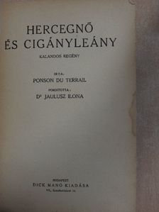 Dr. Jaulusz Ilona - Hercegnő és cigányleány [antikvár]