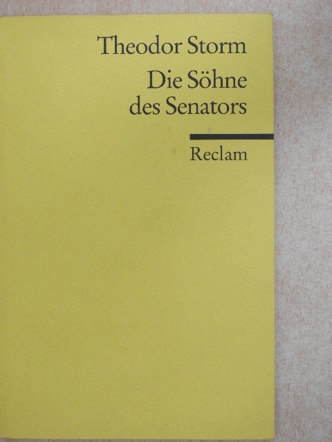 Theodor Storm - Die Söhne des Senators [antikvár]