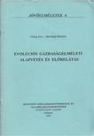 Hideg Éva, Martinás Katalin - Evolúciós gazdaságelméleti alapvetés és előrelátás [antikvár]