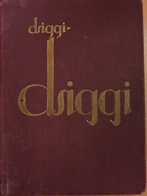 Strauss Frigyes - Dsiggi-dsiggi [antikvár]