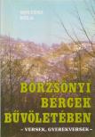 SOLTÉSZ BÉLA - Börzsönyi bércek bűvöletében [antikvár]