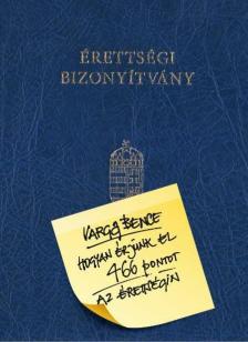 Varga Bence - Hogyan érjünk el 466 pontot az érettségin [antikvár]