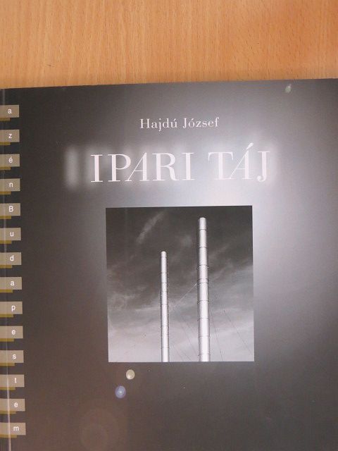 Gera Mihály - Ipari táj [antikvár]