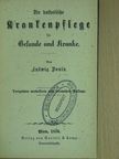 Ludwig Donin - Die katholische Krankenpflege für Gesunde und Kranke (gótbetűs) [antikvár]
