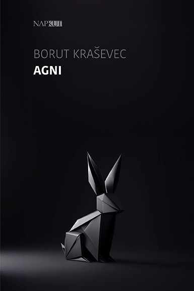 Borut Kra¹evec - Agni