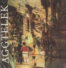 Dr. Hubert Kessler - Aggtelek [antikvár]