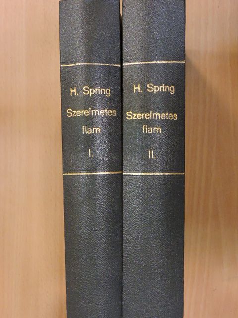 Howard Spring - Szerelmetes fiam I-II. [antikvár]
